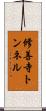 修善寺トンネル Scroll