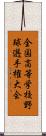 全国高等学校野球選手権大会 Scroll