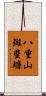 八重山斑蜚蠊 Scroll