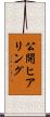 公開ヒアリング Scroll
