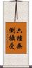 六種無倒攝受 Scroll