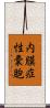 内膜症性嚢胞 Scroll