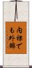 内裸でも外錦 Scroll