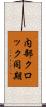 内部クロック同期 Scroll