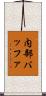 内部バッファ Scroll