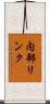 内部リンク Scroll