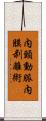 内頸動脈内膜剥離術 Scroll