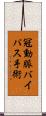 冠動脈バイパス手術 Scroll