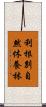 利根別自然休養林 Scroll