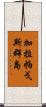 加拉帕戈斯群島 Scroll