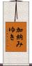 加納みゆき Scroll