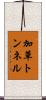 加草トンネル Scroll