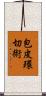包皮環切術 Scroll