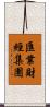 匯業財經集團 Scroll