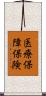 医療保障保険 Scroll