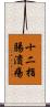 十二指腸潰瘍 Scroll
