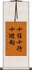 十住十行十迴向 Scroll