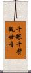 千眼千臂觀世音 Scroll