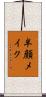 半顔メイク Scroll