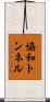 協和トンネル Scroll