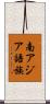 南アジア語族 Scroll