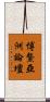 博鰲亞洲論壇 Scroll