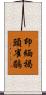 印緬褐頭雀鶥 Scroll