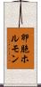 卵胞ホルモン Scroll