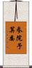参院予算委 Scroll