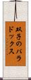 双子のパラドックス Scroll