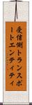 受信側トランスポートエンティティ Scroll