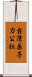 台湾原子力公社 Scroll