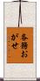 各務おがせ Scroll