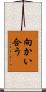 向かい合う Scroll