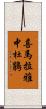 喜馬拉雅中杜鵑 Scroll