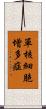 單核細胞增多症 Scroll