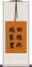 回線終端装置 Scroll