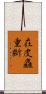 在皮麤重斷 Scroll