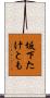 坂下たけとも Scroll