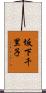 坂下千里子 Scroll
