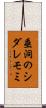 垂洞のシダレモミ Scroll