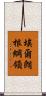 埃爾朗根綱領 Scroll