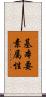 基本要素属性 Scroll