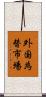 外国為替市場 Scroll