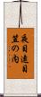 夜目遠目笠の内 Scroll