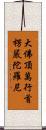 大佛頂萬行首楞嚴陀羅尼 Scroll
