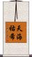 天海祐希 Scroll