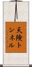 天険トンネル Scroll