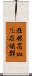 妊娠高血圧症候群 Scroll