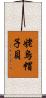 姥烏帽子貝 Scroll